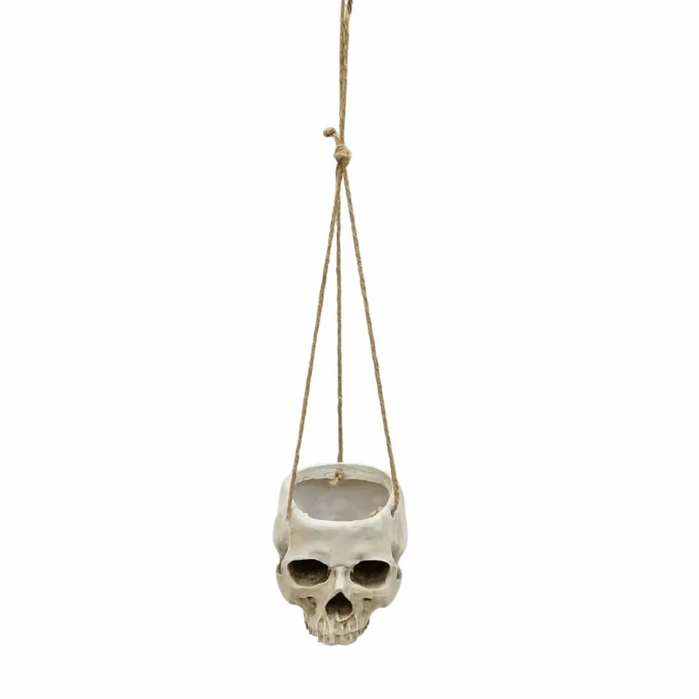 Skull Hanging Container by Ashland®