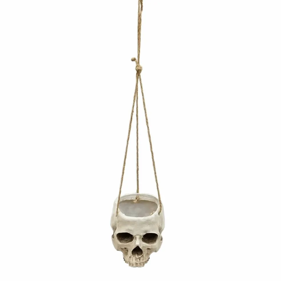 Skull Hanging Container by Ashland®