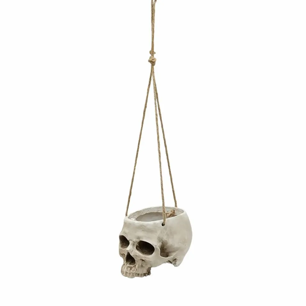 Skull Hanging Container by Ashland®
