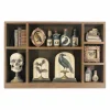14.5" Skull & Potions Curiosities Box Tabletop Décor by Ashland®