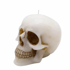 5.75" Skull Unscented Candle by Ashland®