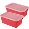 Small Cubby Bin, with Cover, Classroom Red, Pack of 2