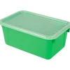 Small Cubby Bin with Cover, Classroom Green