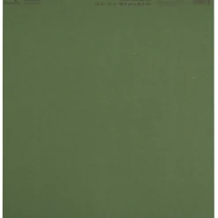 Smooth Solid Cardstock Paper by Recollections™, 12