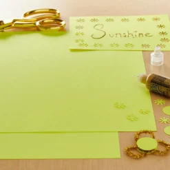 Smooth Solid Cardstock Paper by Recollections™, 12