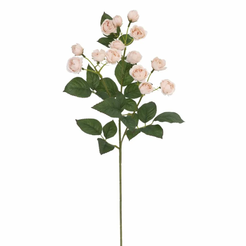 28" Soft Peach Rose Stem by Ashland®