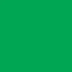 Solid Green Anti-Pill Fleece Fabric (Medium Weight) | By The Yard