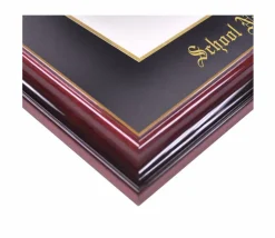 South Florida University Bulls Petite Diploma Frame