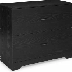Space Saving Engineered Wood File Cabinet with 2 Drawers Large Storage Capacity for Office or Home Use