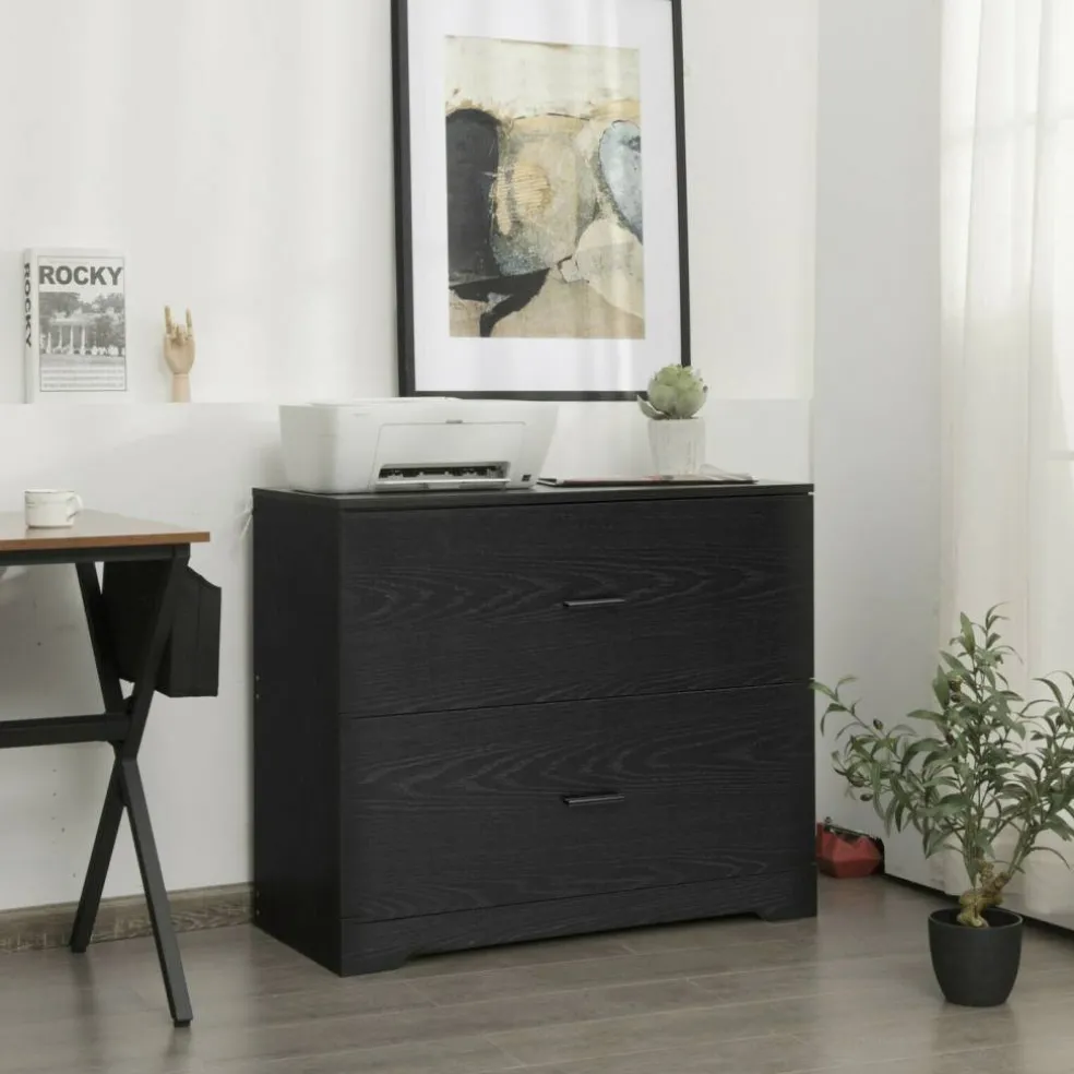 Space Saving Engineered Wood File Cabinet with 2 Drawers Large Storage Capacity for Office or Home Use