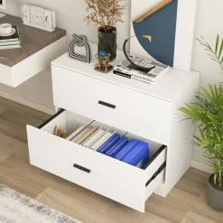 Space Saving Engineered Wood File Cabinet with 2 Drawers Large Storage Capacity for Office or Home Use