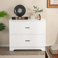 Space Saving Engineered Wood File Cabinet with 2 Drawers Large Storage Capacity for Office or Home Use