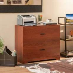 Space Saving Engineered Wood File Cabinet with 2 Drawers Large Storage Capacity for Office or Home Use