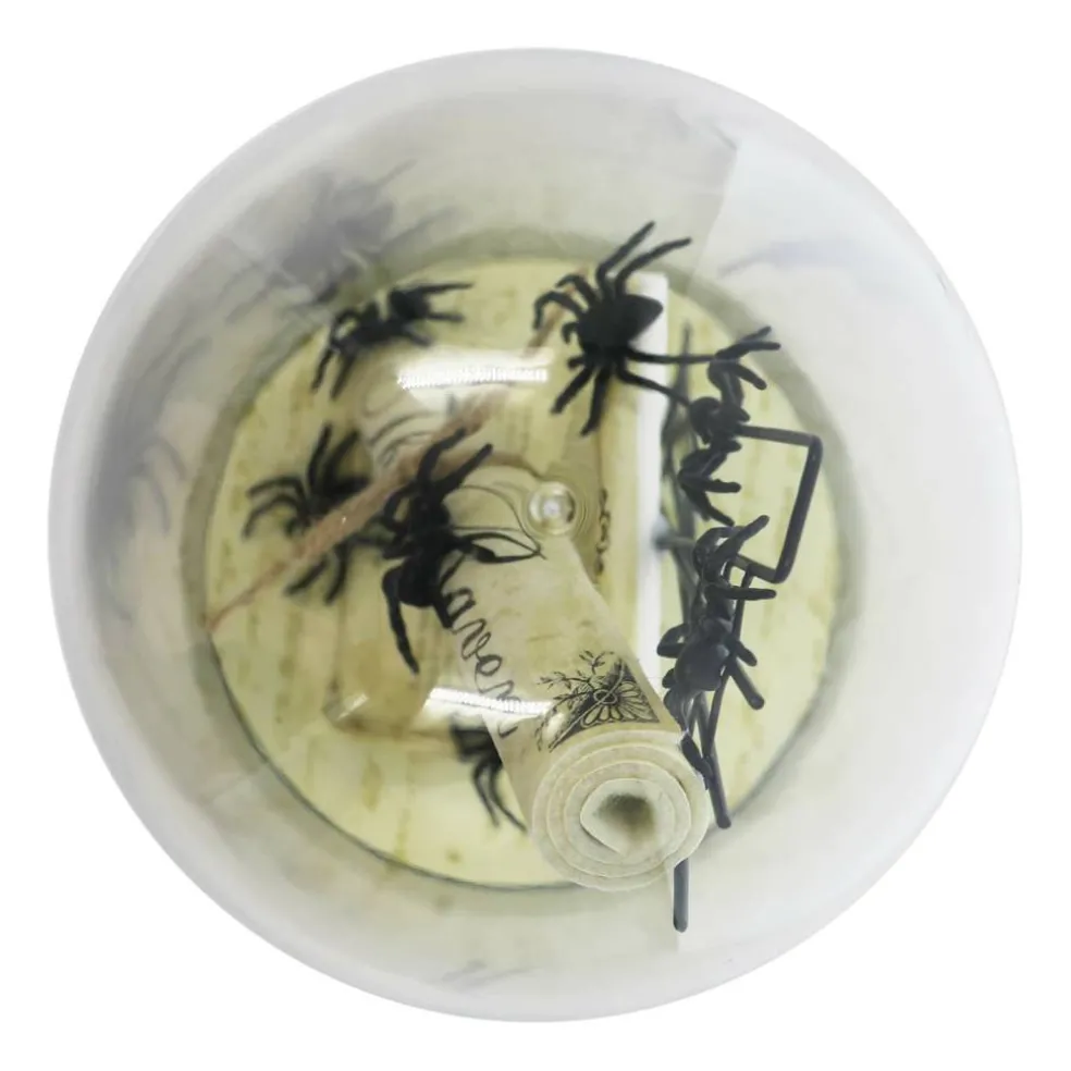 8" Spider Cloche Tabletop Décor by Ashland®