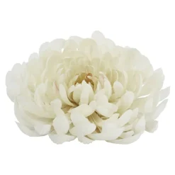 7.5" Spider Mum Floral Accent by Ashland®