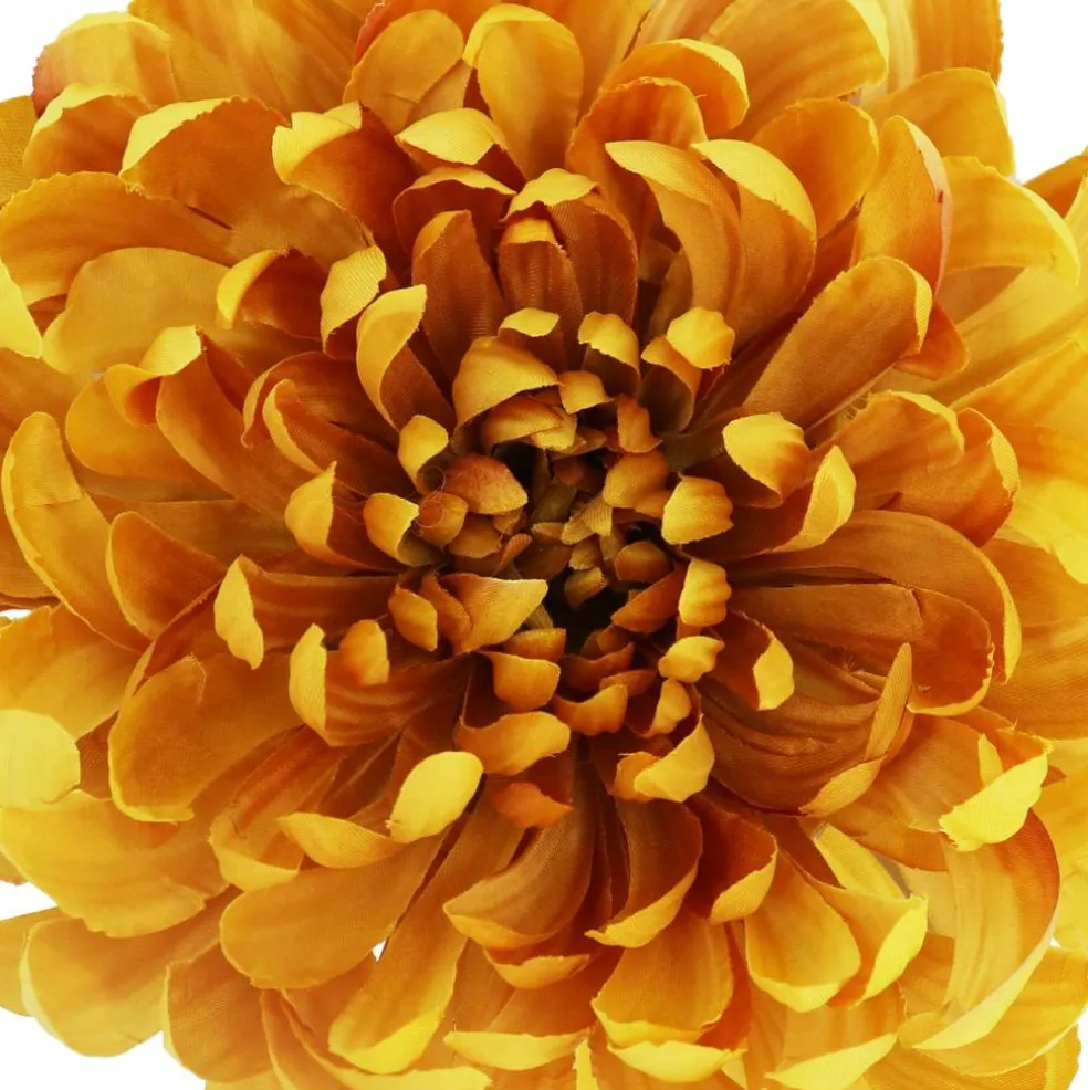 7.5" Spider Mum Floral Accent by Ashland®