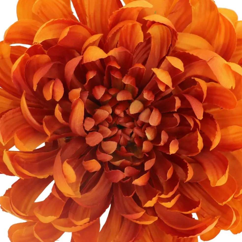 7.5" Spider Mum Floral Accent by Ashland®