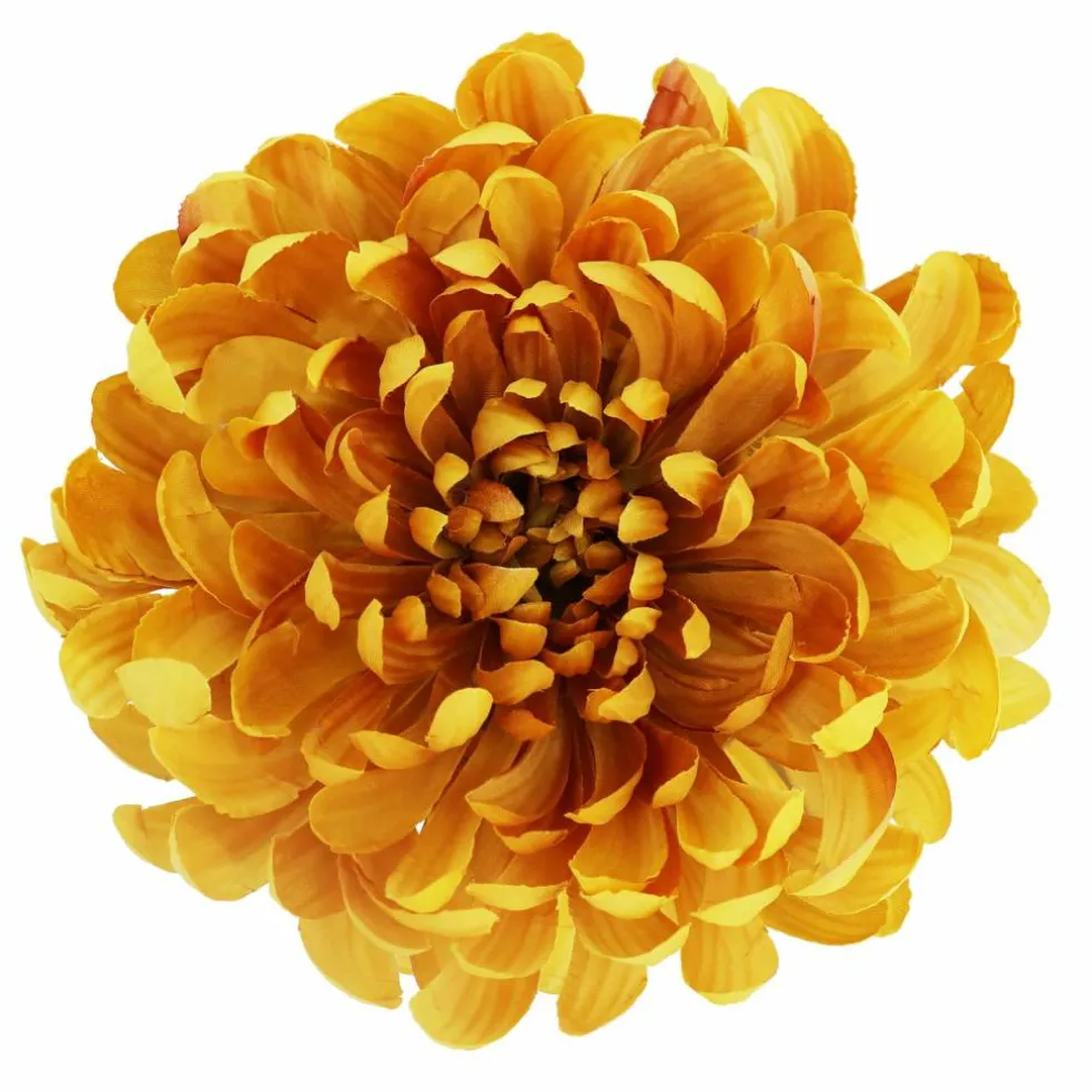 7.5" Spider Mum Floral Accent by Ashland®