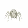 5.5" Spider Skeleton by Ashland®