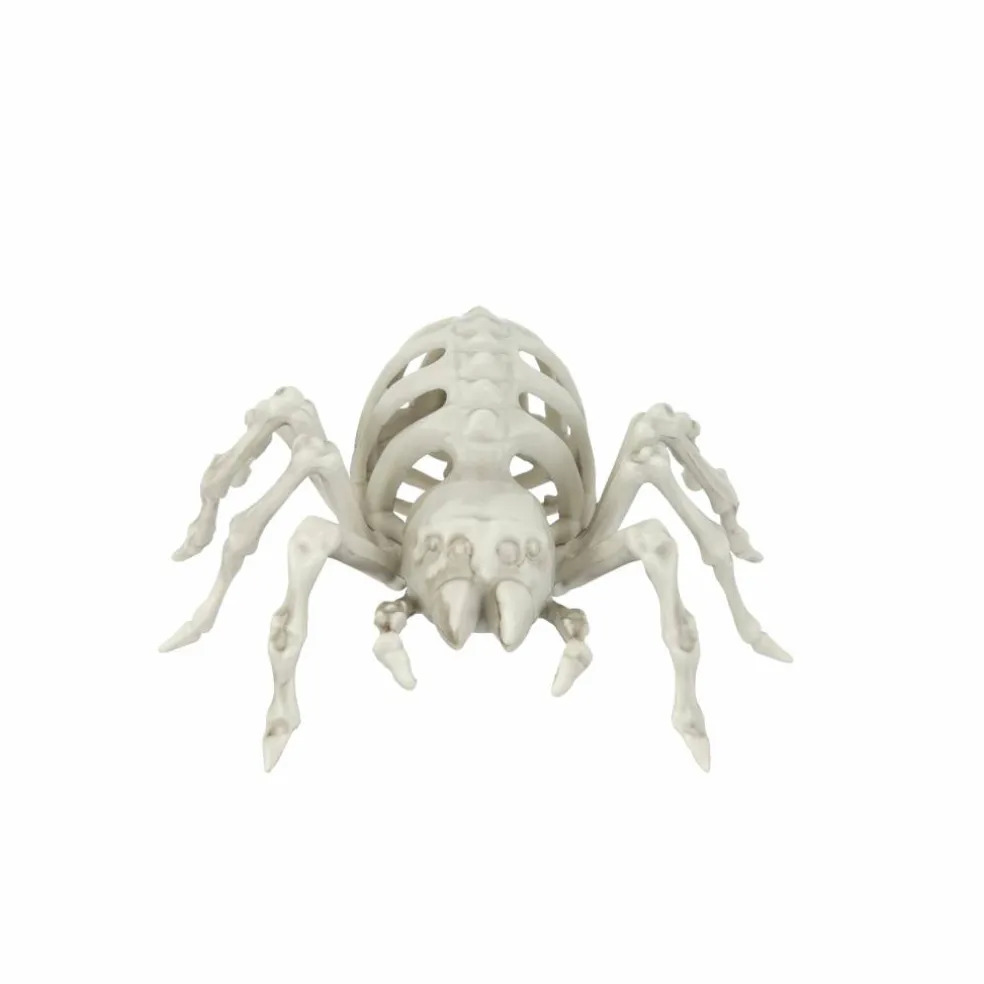 5.5" Spider Skeleton by Ashland®