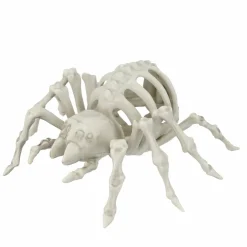 5.5" Spider Skeleton by Ashland®