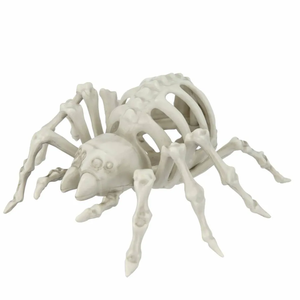 5.5" Spider Skeleton by Ashland®
