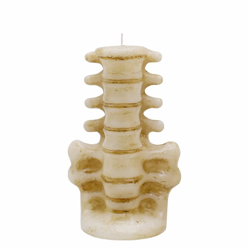 7.25" Spine Unscented Candle by Ashland®