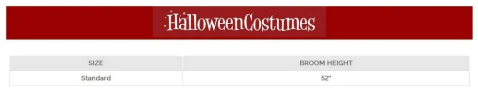 Spiral Witch Broom Costume Accessory