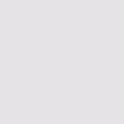 Springs Creative White Solid Cotton Fabric