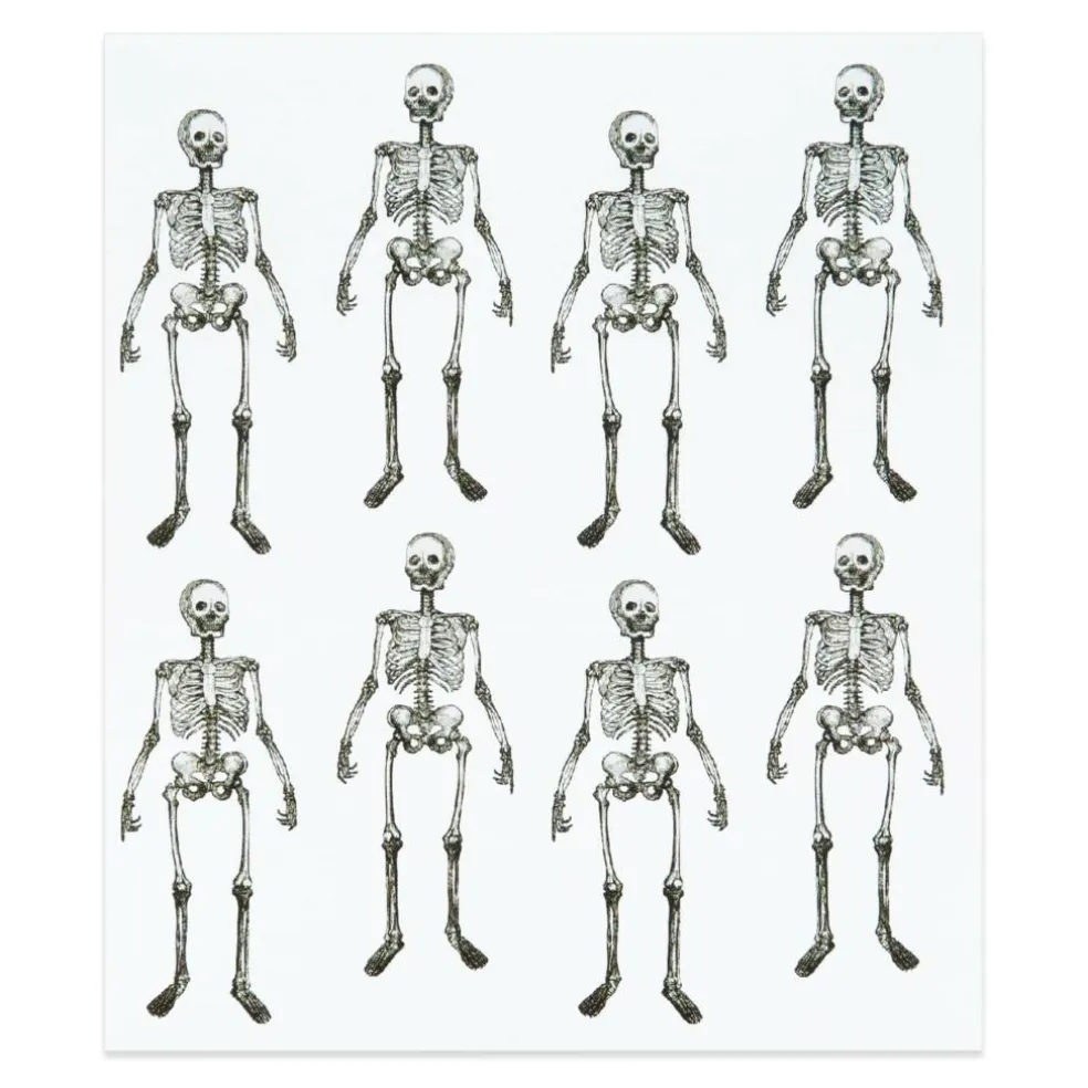 Standing Skeleton Stickers by Recollections™
