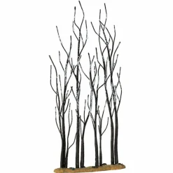 Stand of Sycamore Trees