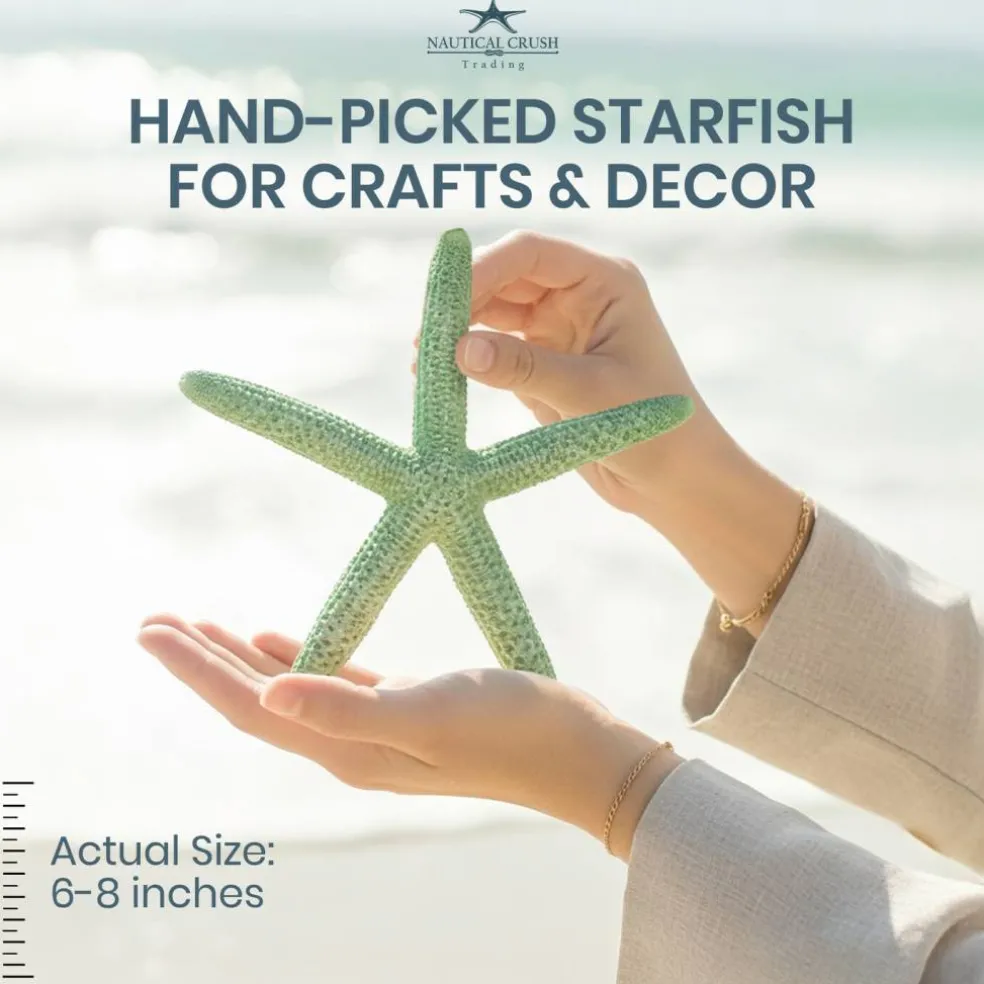 Starfish Decor 10 Blue Green & White Finger Star Fish 6-8 Inch Starfish for Crafts