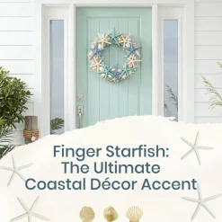 Starfish Decor 10 Blue Green & White Finger Star Fish 6-8 Inch Starfish for Crafts