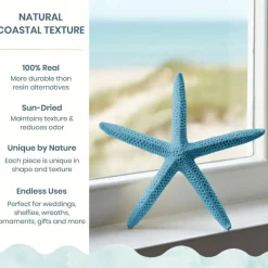Starfish Decor 10 Blue Green & White Finger Star Fish 6-8 Inch Starfish for Crafts