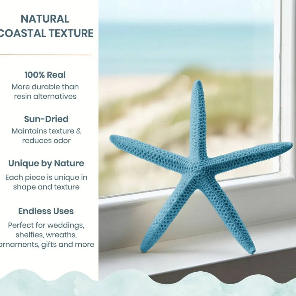 Starfish Decor 10 Blue Green & White Finger Star Fish 6-8 Inch Starfish for Crafts