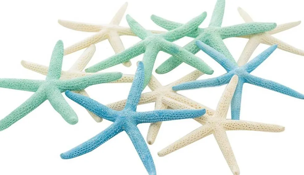 Starfish Decor 10 Blue Green & White Finger Star Fish 6-8 Inch Starfish for Crafts