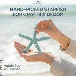 Starfish Decor 10 Pack Green & Blue Assorted Star Fish 4-6 Inch Starfish for Crafts Blue Green Starfish Wall Décor Beach Wedding Starfish Beach Starfish Décor