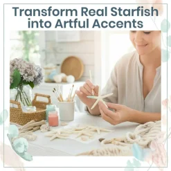 Starfish Decor - Star Fish for Craft - 10pk Real 3-4" White Sea Stars - Beach Wedding Decor - Coastal Party Decorations - Seashell Decor - Shells for Crafts - Nautical Decor - Bulk Shells for Crafts