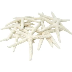 Starfish Decor - Star Fish for Craft - 10pk Real 3-4" White Sea Stars - Beach Wedding Decor - Coastal Party Decorations - Seashell Decor - Shells for Crafts - Nautical Decor - Bulk Shells for Crafts