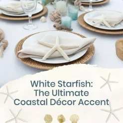 Starfish Decor - Star Fish for Craft - 6pk Real 3-4" White Sea Stars - Beach Wedding Decor - Coastal Party Decorations - Seashell Decor