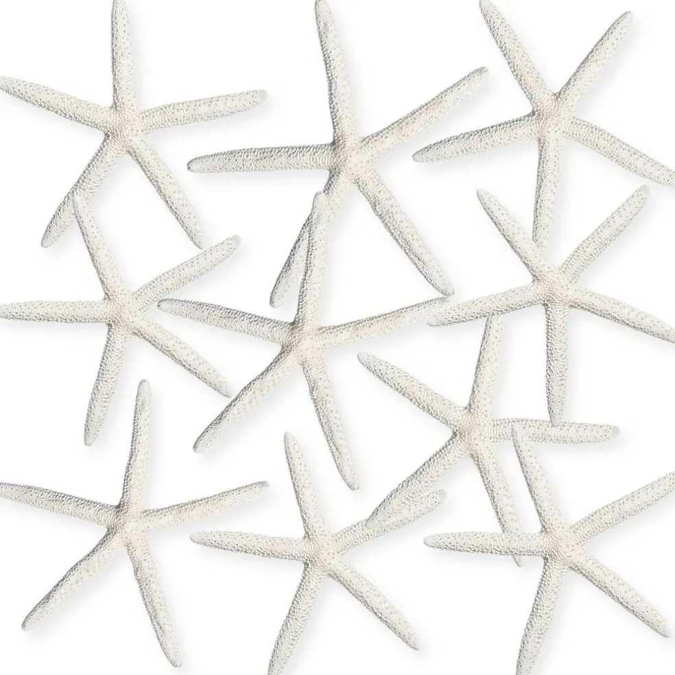 Starfish 10 Pack Large White Finger Starfish 6"-8" for Craft and Décor