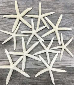 Starfish 10 Pack Large White Finger Starfish 6