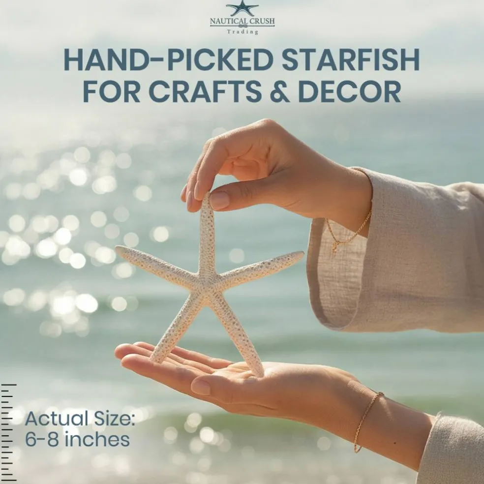 Starfish 10 Pack Large White Finger Starfish 6"-8" for Craft and Décor