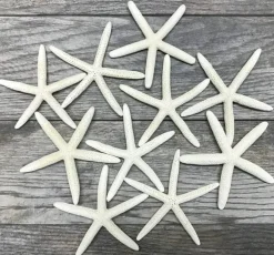 Starfish 10 Pack White Finger Starfish 4"-5" for Craft and Décor