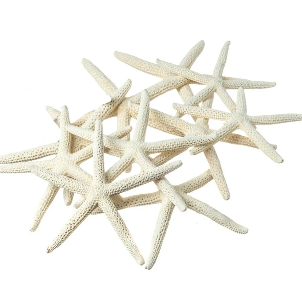 Starfish 10 Pack White Finger Starfish 4"-5" for Craft and Décor