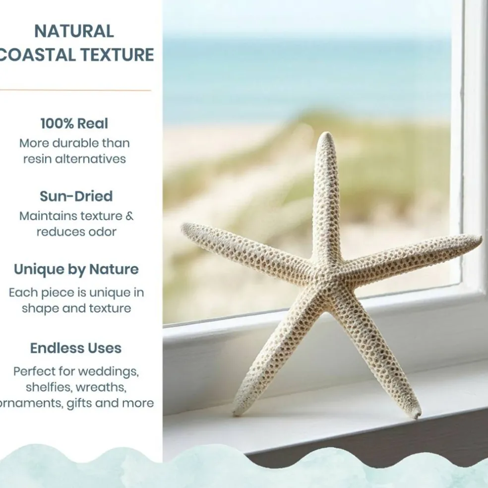 Starfish 10 Pack White Finger Starfish 4"-5" for Craft and Décor
