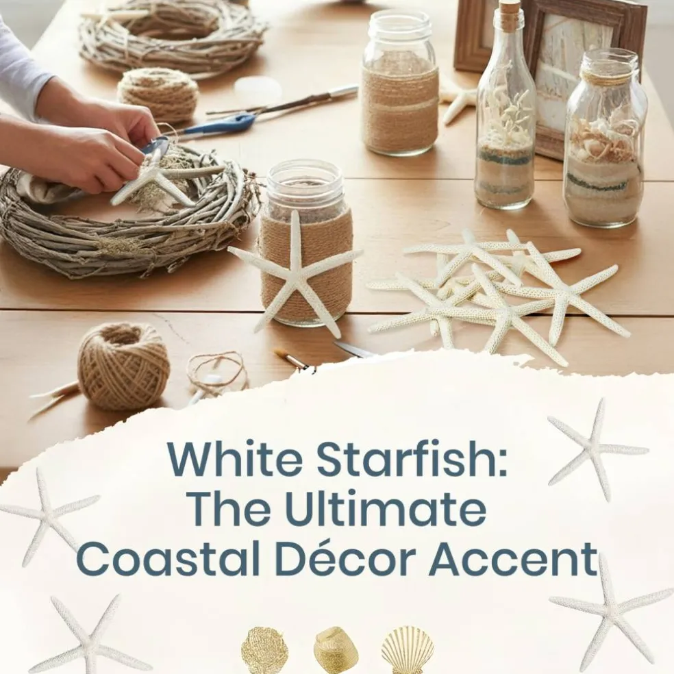 Starfish 10 Pack White Finger Starfish 4"-5" for Craft and Décor
