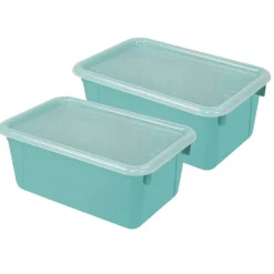 Storex Small Cubby Bin with Cover, 2ct.