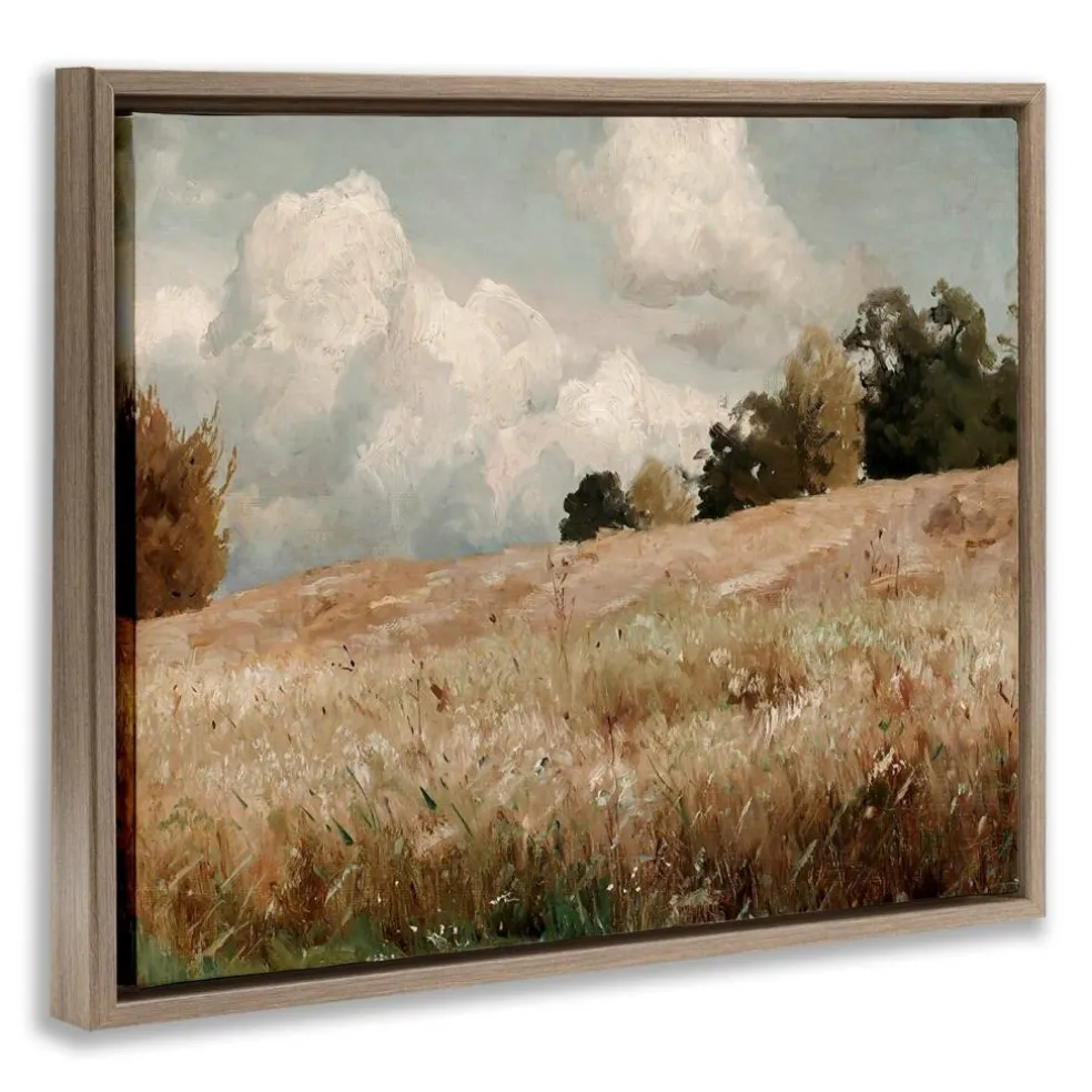 Stupell Industries Classic Cloudy Field Landscape Floater Framed Art