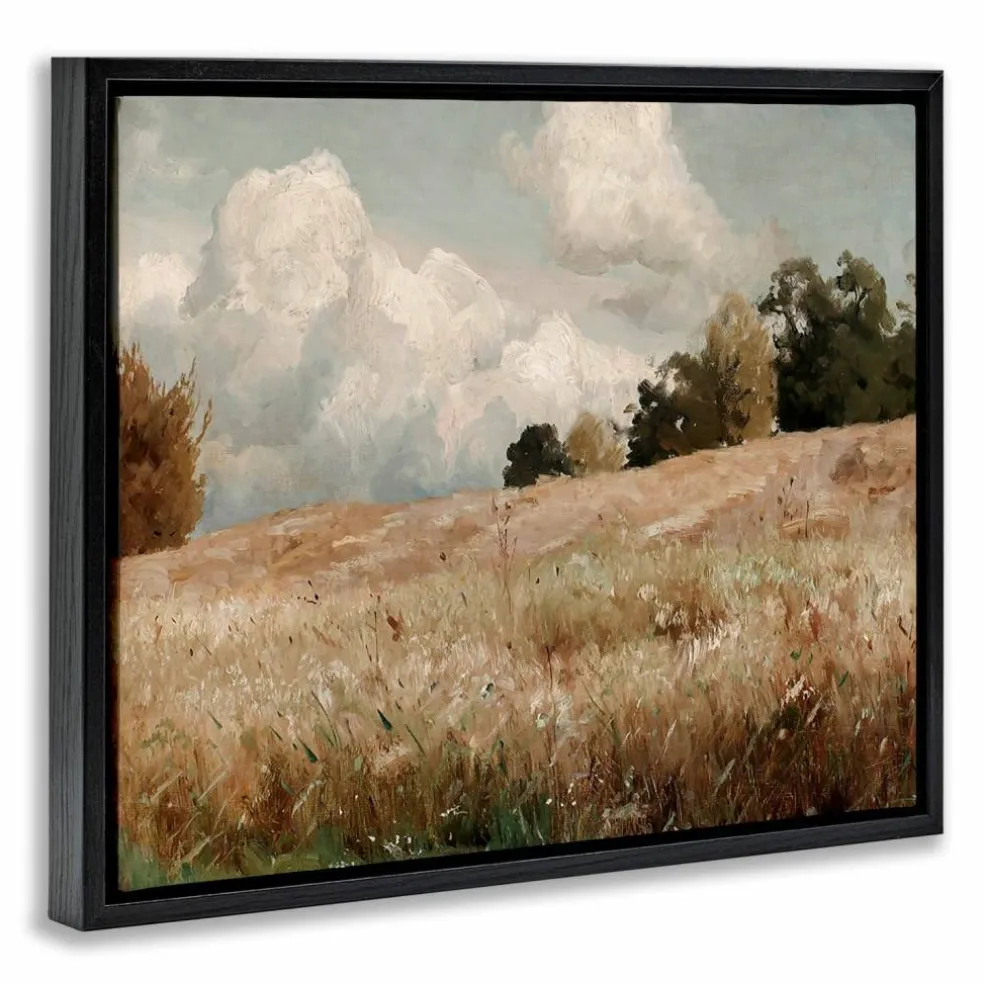 Stupell Industries Classic Cloudy Field Landscape Floater Framed Art